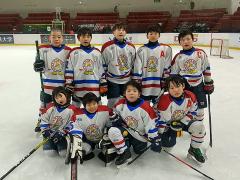 �ڣ��̡۹�������ޡ�����